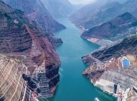 【徐东风诗歌】鹤舞长江