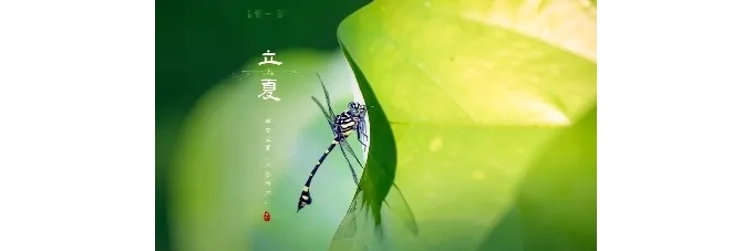 【徐东风诗歌】立夏