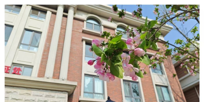 【秋枫杂诗】丙午清明祭