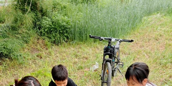 【宁静致远诗词】摘槐花