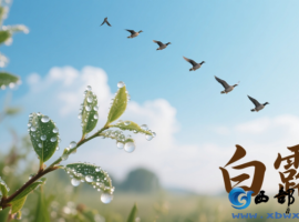 【徐东风诗歌】白露（诗两首）