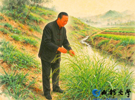 【洛沙随笔】跟上姚选富识百草之三百五十四：追风七记