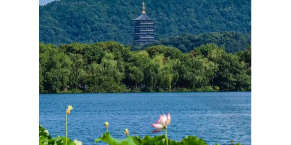 【孟宪福诗词】西 湖 美 景