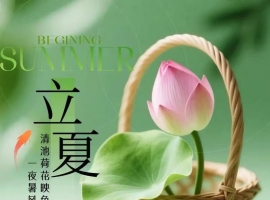 【罗凤霜散文随笔】立夏槐花香