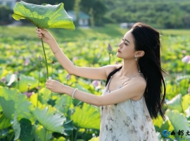 【徐东风散文】秋色怡人，万物晴朗（外一篇）