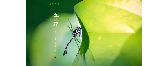 【徐东风诗歌】立夏