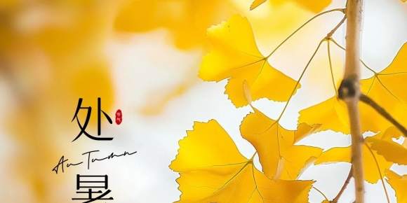 【徐东风诗歌】秋天，以菊为媒（外一首）