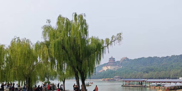 【秋枫诗歌】三行日记  信仰记念等