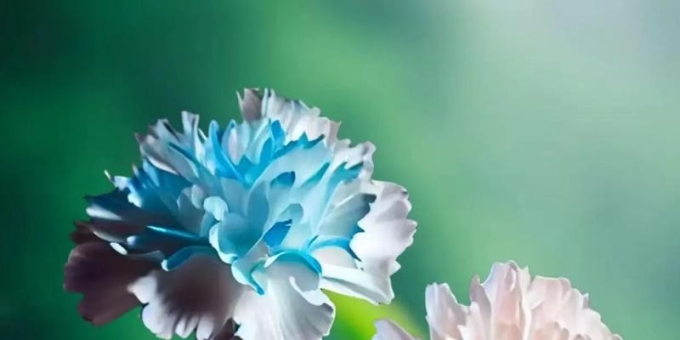 【徐东风诗歌】没有母亲的母亲节