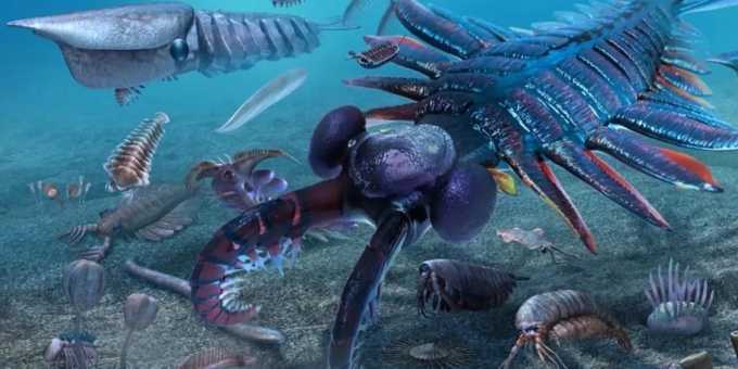 【徐东风诗歌】寒武纪