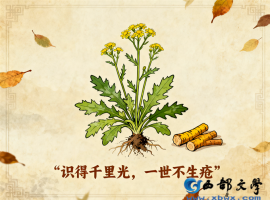 【李玉梅读后感】于百草间见天地