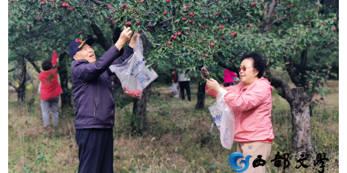 【张德玉诗词】满江红  山楂树下