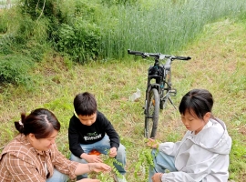 【宁静致远诗词】摘槐花