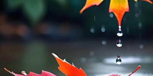 【徐东风诗歌】水的证词