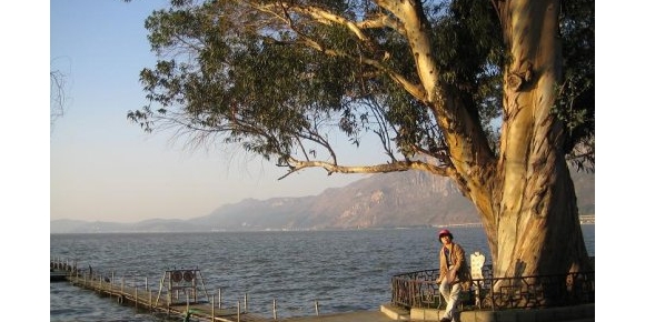 【秋枫随笔】 泪洒滇池