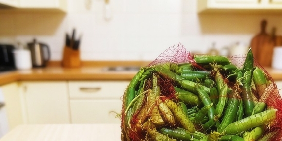 【小桥流水现代诗歌】《豌豆与豌豆尖》