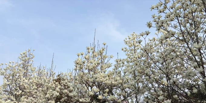 愚人节万物共嘲弄（二）