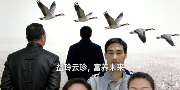 【洛沙随笔】大雁东南飞，好事堆成堆