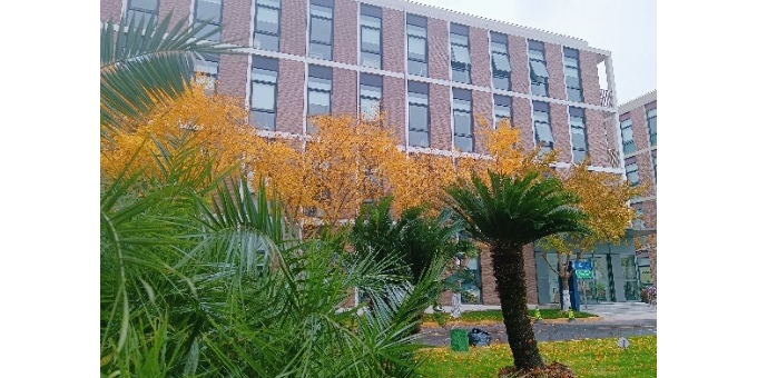 【小桥流水现代诗歌】《明日的路》