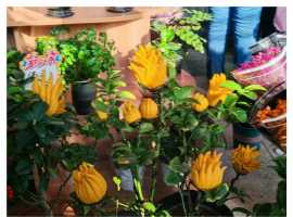 【秋枫练笔】游兴等四篇