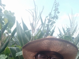 【禅悟诗词】忆秦娥   霜秋