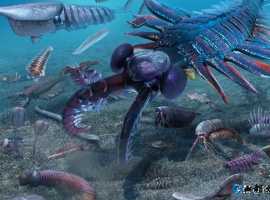 【徐东风诗歌】寒武纪