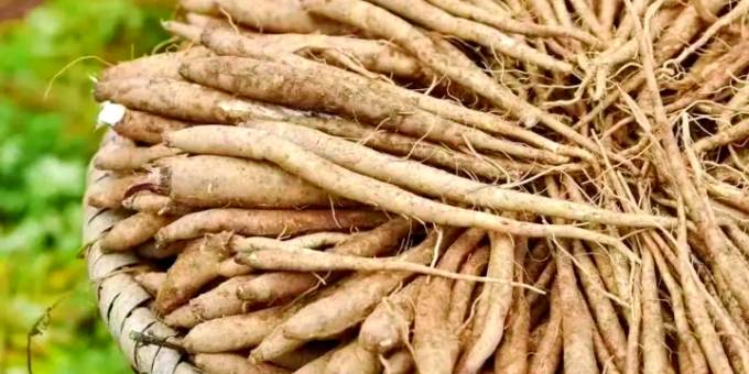 【徐东风诗歌】当归