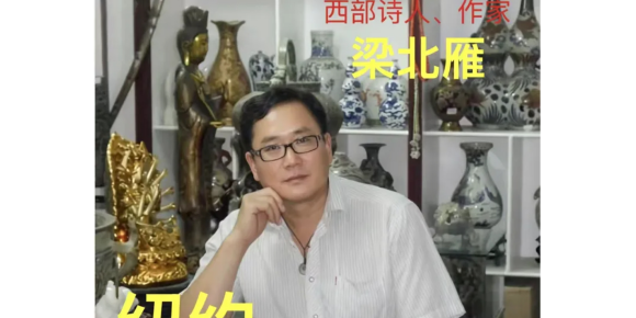 【梁北雁诗歌】《黑夜的甲壳虫》