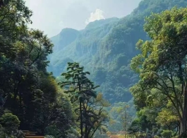 【笑君诗词】临江仙·西去四川（五首）