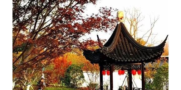 【笑君诗词】沁园春·合肥赋（三首）