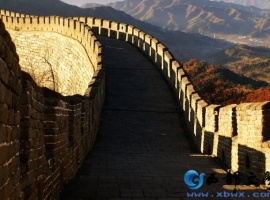 【秋枫随笔】   牵牛花  等