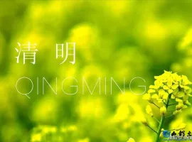 【徐东风散文】一念清明，岁岁心安