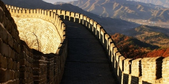 【秋枫随笔】   牵牛花  等