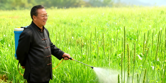 【洛沙随笔】跟上姚选富识百草之三十九：坡上识牛耳