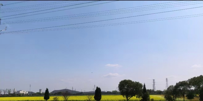 【汤斌昌诗歌】油菜花