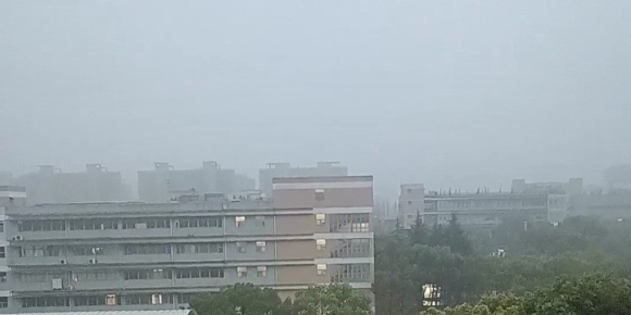 【小桥流水诗词】《园中即景》