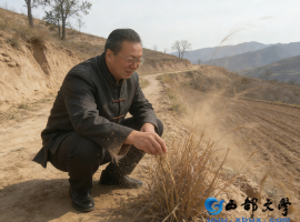 【洛沙随笔】跟上姚选富识百草之六十一：田埂识天麻