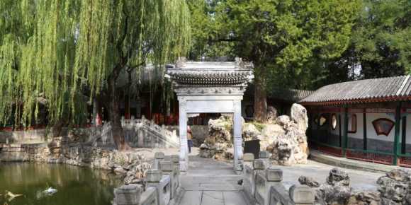 【秋枫散文随笔】 后花园等