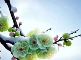 【武振学诗词】七绝 大寒吟