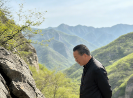 【洛沙随笔】跟上姚选富识百草之百三十九：选富话还魂草