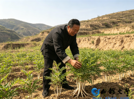 【洛沙随笔】跟上姚选富识百草之二百四十二：白鲜净肤