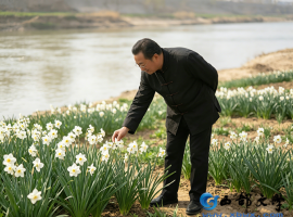 【洛沙随笔】跟上姚选富识百草之二百三十五：水仙清蕴