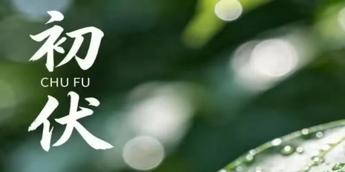 【徐东风散文】万物热烈，心静自凉