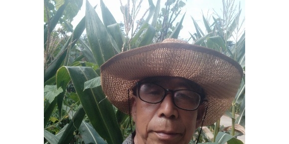 【禅悟诗词】七绝   无题