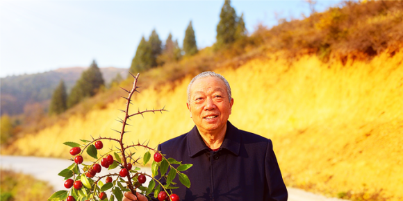 【洛沙随笔】跟上姚选富识百草之十：酸枣红的安神妙处