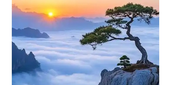 【徐东风诗歌】江山如此多娇