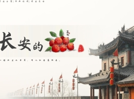 【徐东风散文】一颗荔枝的含辛茹苦