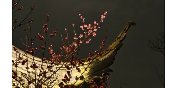 【芸竹诗歌】无题