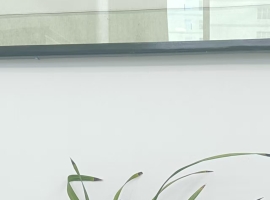 【商山迪克散文随笔】夏夜禅心