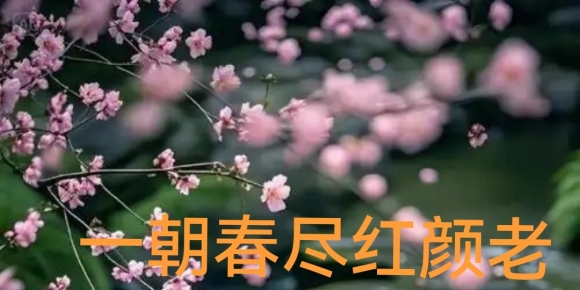 【徐东风散文】一朝春尽红颜老